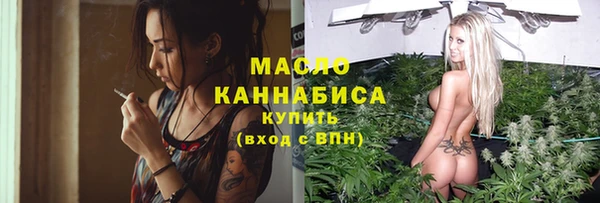 молекула духа Богородицк