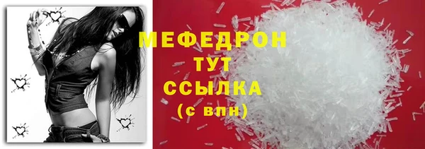 молекула духа Богородицк