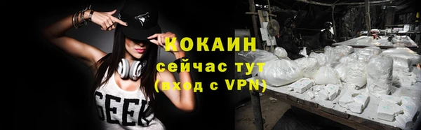 молекула духа Богородицк