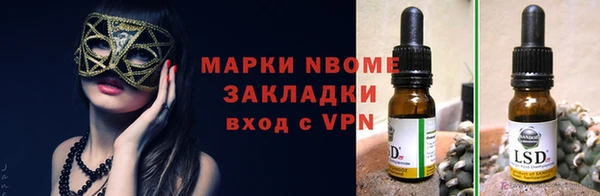 молекула духа Богородицк