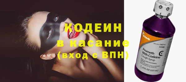 молекула духа Богородицк