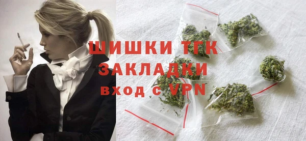 молекула духа Богородицк