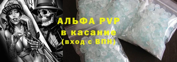 молекула духа Богородицк
